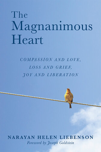 The Magnanimous Heart Narayan Helen Liebenson