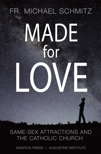 Made For Love 1st Edition Fr Michael Schmitz