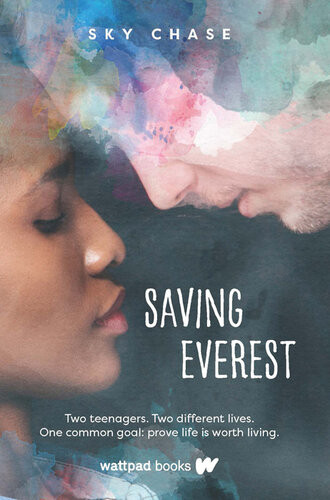 Saving Everest Sky Chase