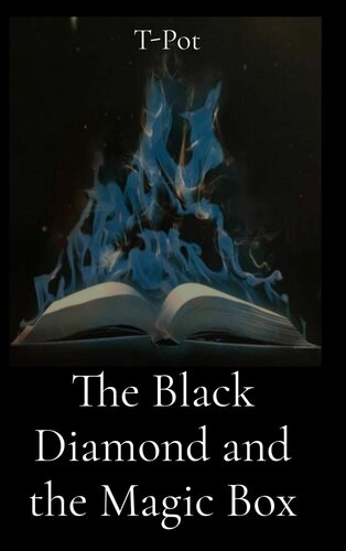The Black Diamond And The Magic Box Tpot