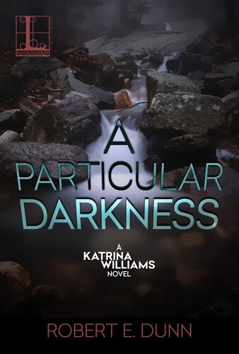 A Particular Darkness Robert E Dunn