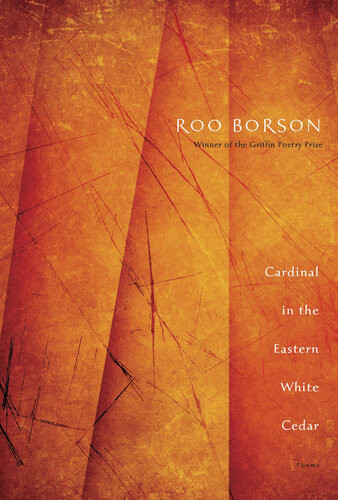 Cardinal In The Eastern White Cedar Roo Borson
