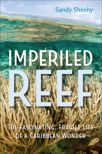 Imperiled Reef The Fascinating Fragile Life Of A Caribbean Wonder Sandy Sheehy