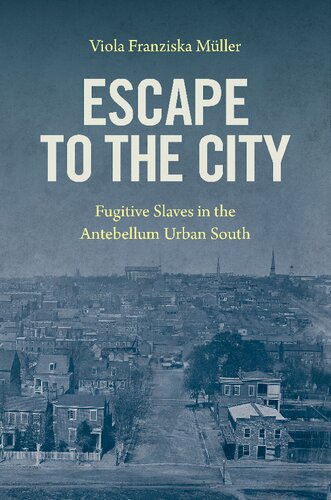 Escape To The City Fugitive Slaves In The Antebellum Urban South Viola Franziska Mller