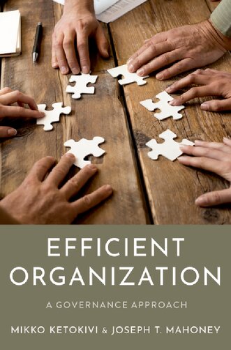 Efficient Organization A Governance Approach Mikko Ketokivi
