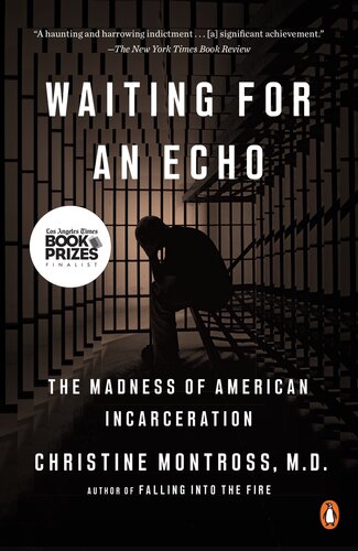 Waiting For An Echo The Madness Of American Incarceration Christine Montross