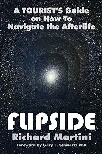 Flipside A Tourists Guide On How To Navigate The Afterlife Illustrated Martini