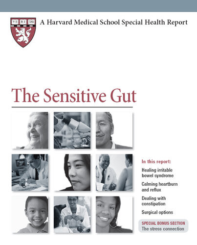 The Sensitive Gut Lawrence S Friedman