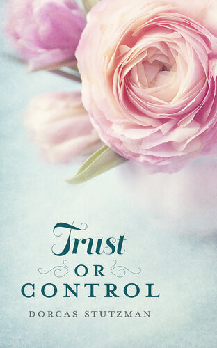 Trust Or Control Dorcas Stutzman
