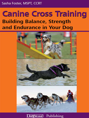Canine Cross Training Building Balance Strength And Endurance In Your Dog Sasha Foster