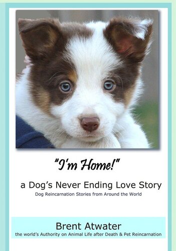 Im Home A Dogs Never Ending Love Story Animal Life After Death Dog Heaven Dogs Purpose For Reincarnation Animal Soul Contracts Brent Atwater
