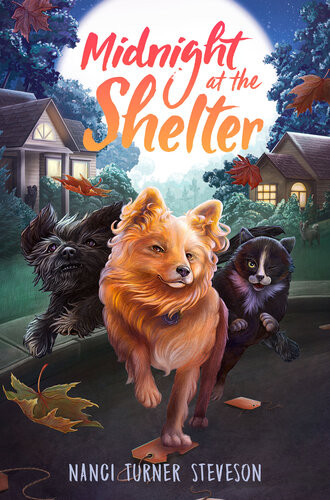Midnight At The Shelter Nanci Turner Steveson