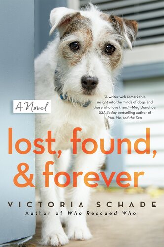 Lost Found And Forever Victoria Schade