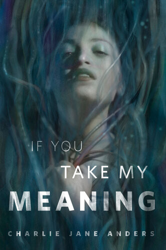 If You Take My Meaning A Torcom Original Charlie Jane Anders