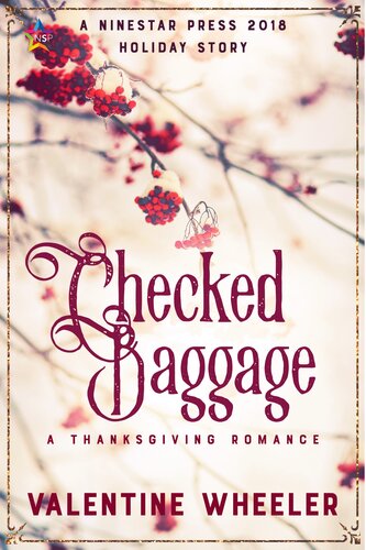 Checked Baggage Valentine Wheeler