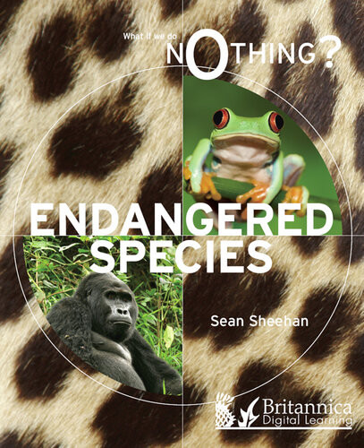 Endangered Species 1st Edition Sean Sheehan