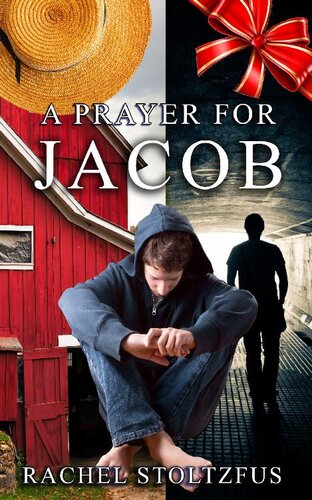 A Lancaster Amish Prayer For Jacob A Home For Jacob 2 Rachel Stoltzfus