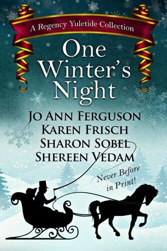 One Winters Night Sharon Sobel Jo Ann Ferguson Karen Frisch Shereen Vedam