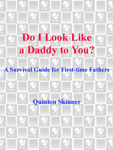 Do I Look Like A Daddy To You A Survival Guide For Firsttime Fathers Quinton Skinner