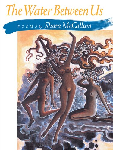The Water Between Us Shara Mccallum