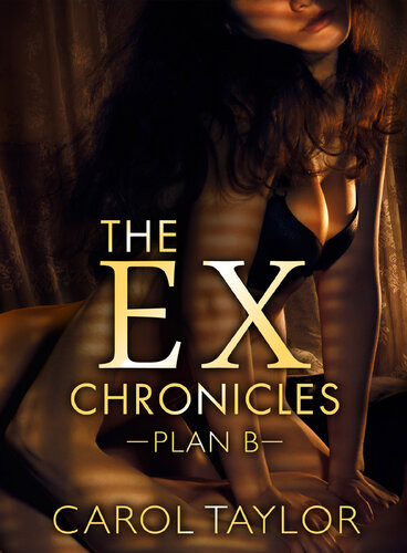 The Exchronicles Plan B Carol Taylor