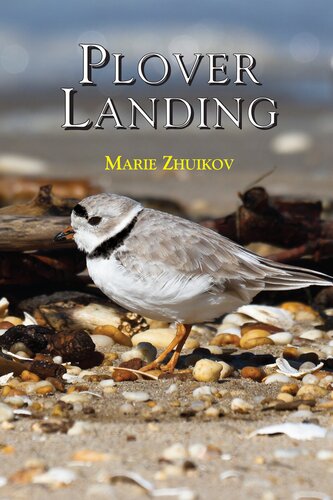 Plover Landing Marie Zhuikov