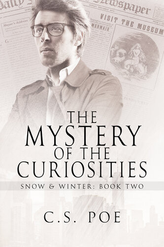 The Mystery Of The Curiosities Cs Poe