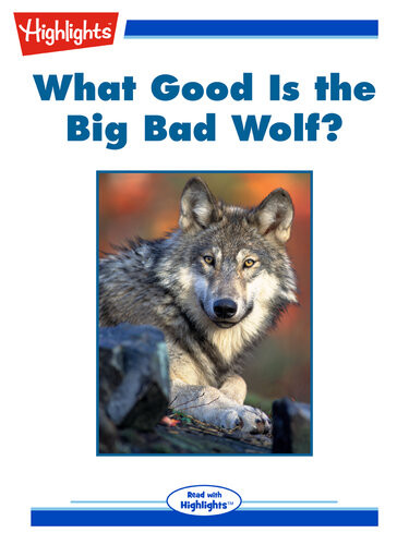 What Good Is The Big Bad Wolf Linda Zajac