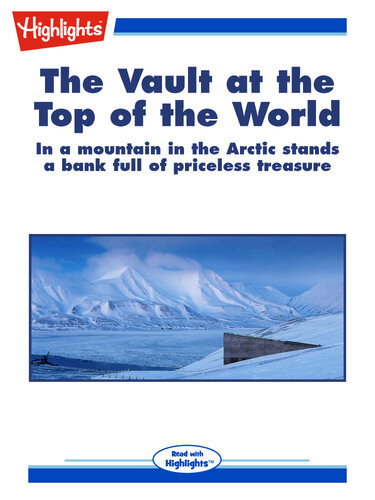 The Vault At The Top Of The World Aileen Kirkham