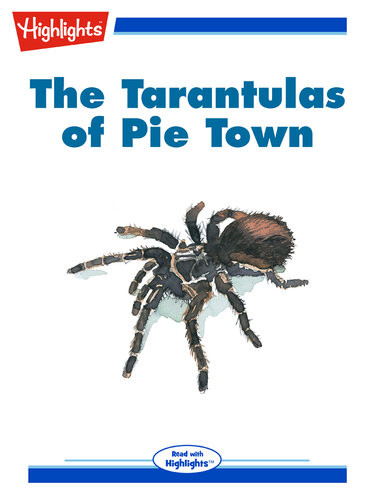 The Tarantulas Of Pie Town Jennifer Owings Dewey