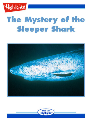 The Mystery Of The Sleeper Shark Nancy Roepimm