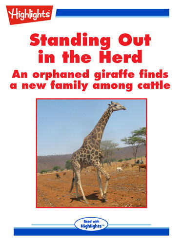 Standing Out In The Herd Cecil Dzwowa
