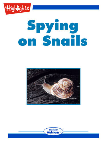 Spying On Snails Ilil Arbel