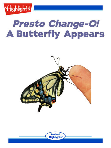 Presto Changeo A Butterfly Appears Chris Dietel