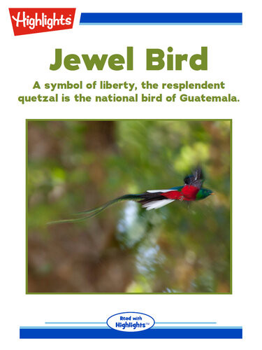 Jewel Bird Robin A Zimmerman