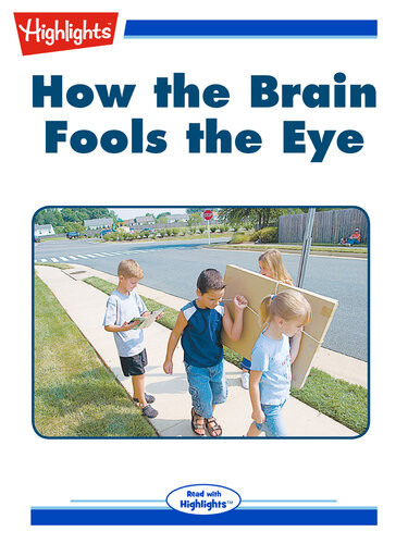 How The Brain Fools The Eye Carmella Van Vleet