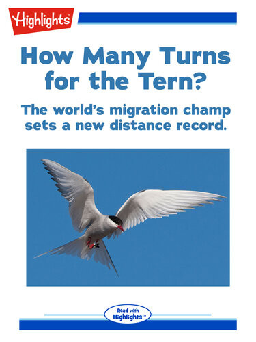 How Many Turns For The Tern Alison Pearce Stevens
