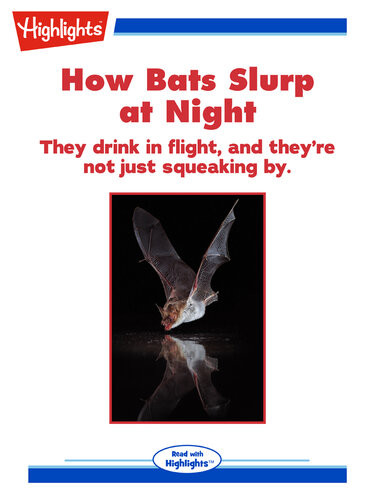 How Bats Slurp At Night Alison Pearce Stevens