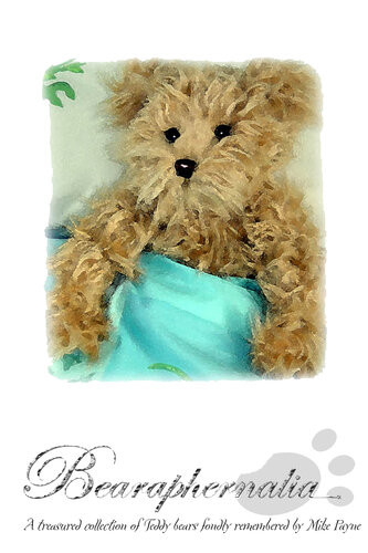 Bearaphernalia A Collection Of Teddy Bears 1st Edition Mike Payne