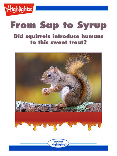 Highlights From Sap To Syrup Laura Sassi