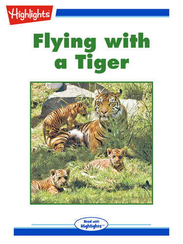 Flying With A Tiger 1st Edition Elana Kopel