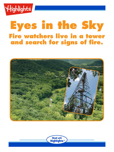 Eyes In The Sky 1st Edition Heather Bode