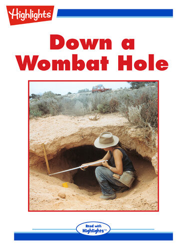 Down A Wombat Hole 1st Edition Douglas Mcinnis