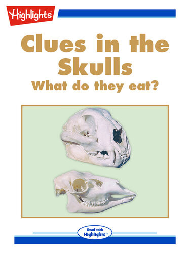 Clues In The Skulls Evelyn Edwards