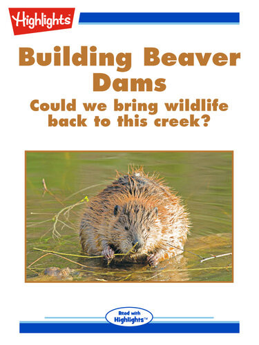 Building Beaver Dams Bryn Fleming