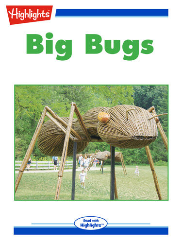 Big Bugs Jennifer Mattox