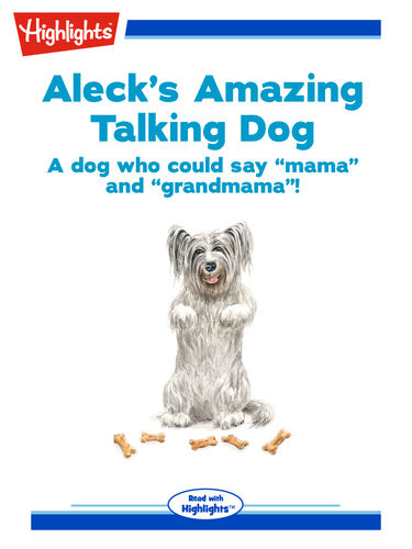 Alecks Amazing Talking Dog Kelly Barson
