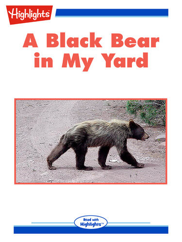 A Black Bear In My Yard Lynn Murray