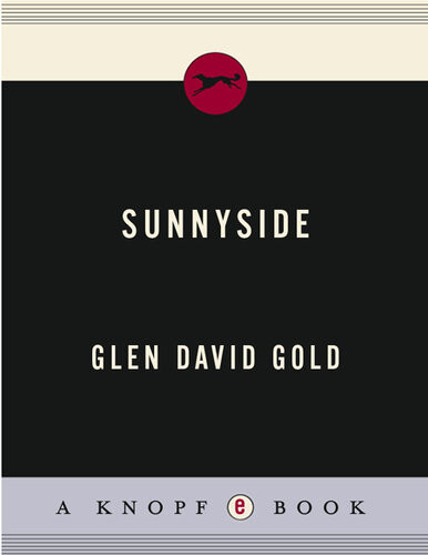 Sunnyside Glen David Gold