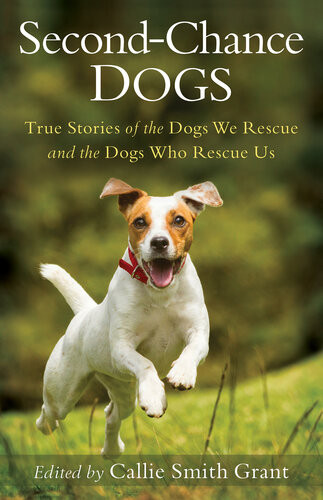 Secondchance Dogs True Stories Of The Dogs We Rescue And The Dogs Who Rescue Us Callie Smith Grant